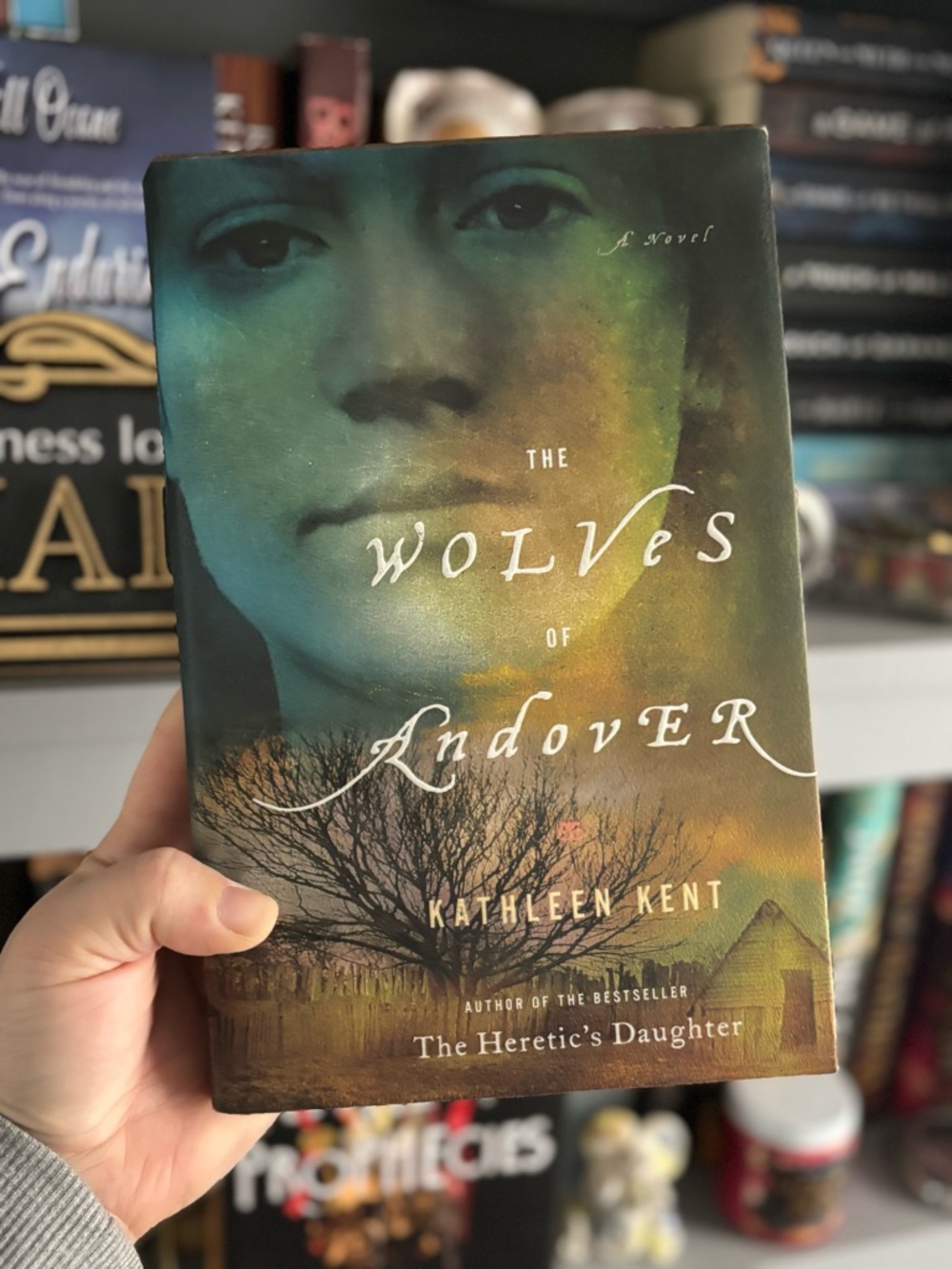 The Wolves of Andover by Kathleen Kent (Hardcover Book)